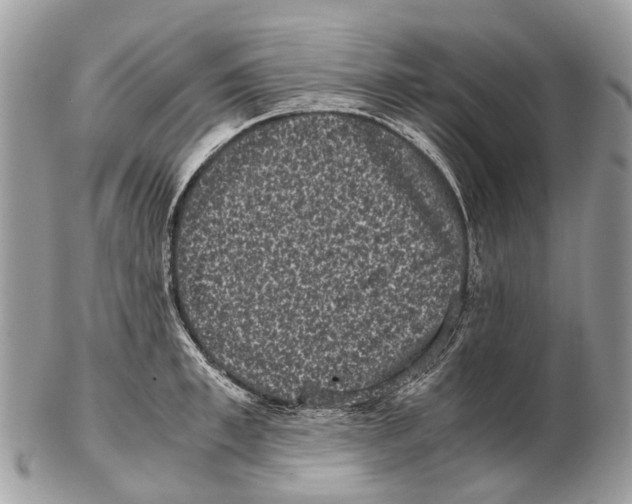 X0000102480997200809051352