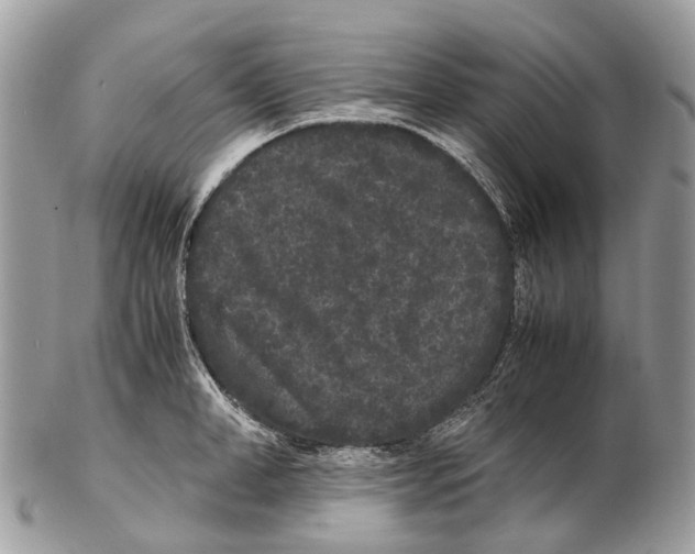 X0000102480998200809051351