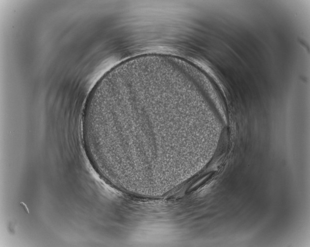 X0000102480999200809051351