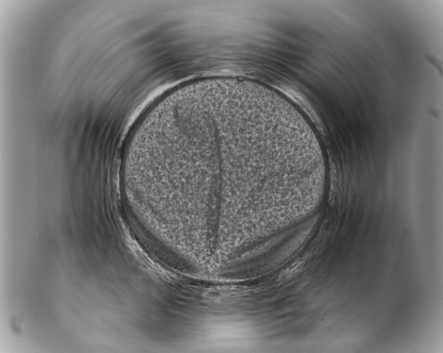 X0000102481000200809051351