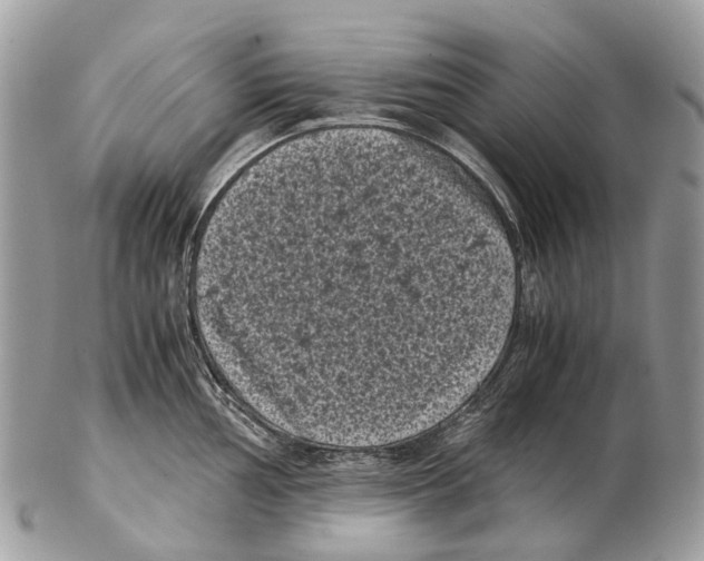 X0000102481002200809051351