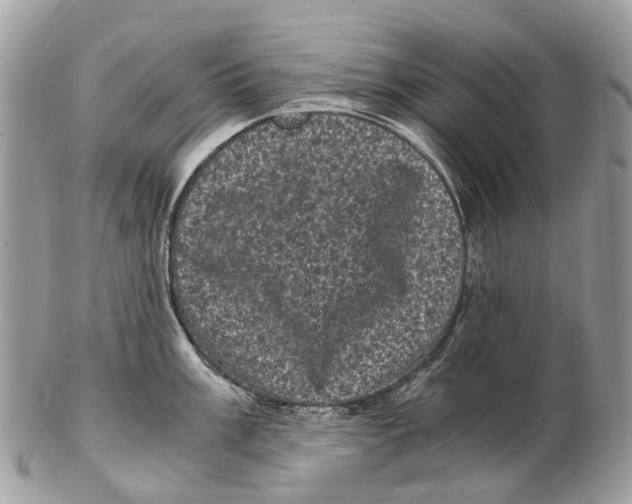 X0000102481003200809051351