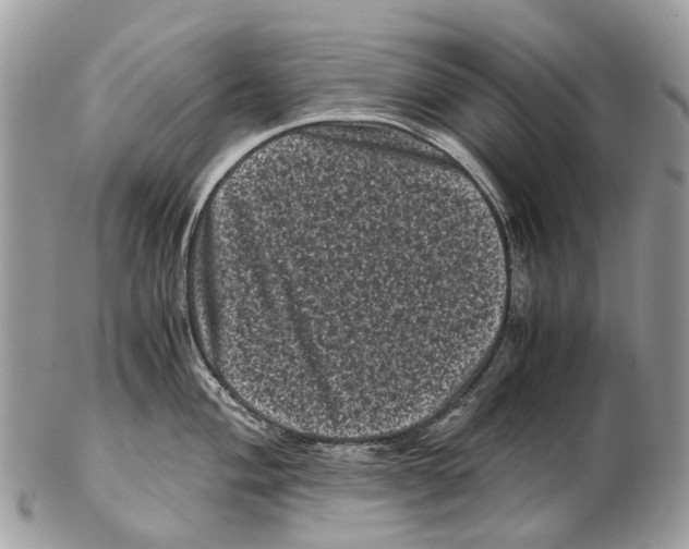 X0000102481004200809051351