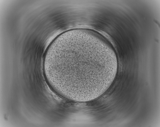 X0000102481006200809051351