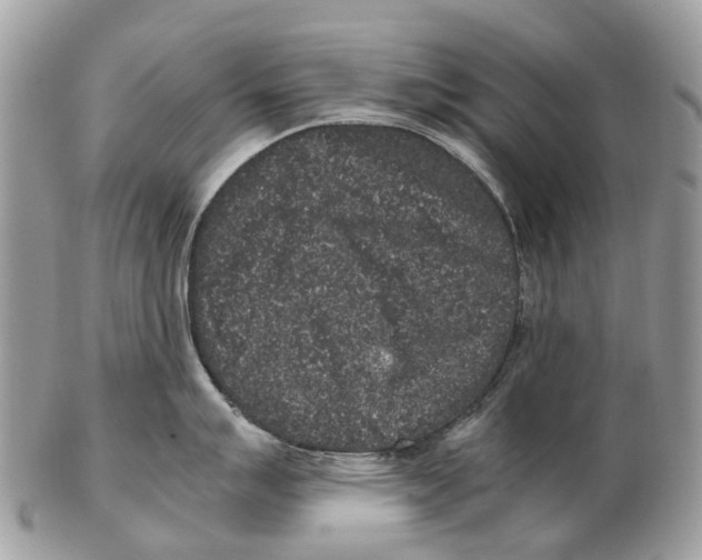 X0000102481007200809051351