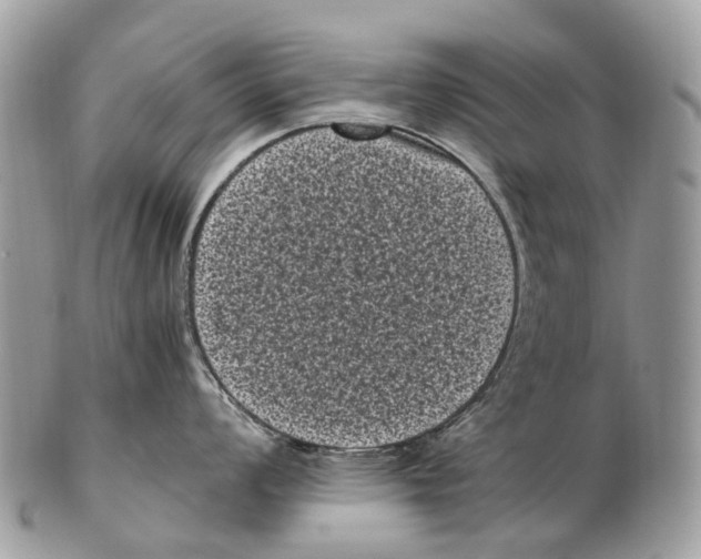 X0000102481008200809051351