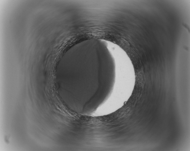 X0000102481009200809051350