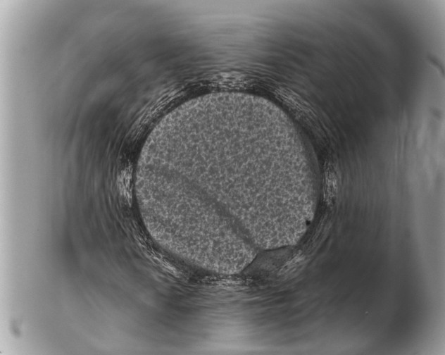 X0000102481010200809051351