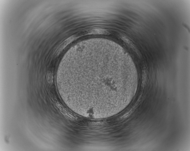 X0000102481017200809051351