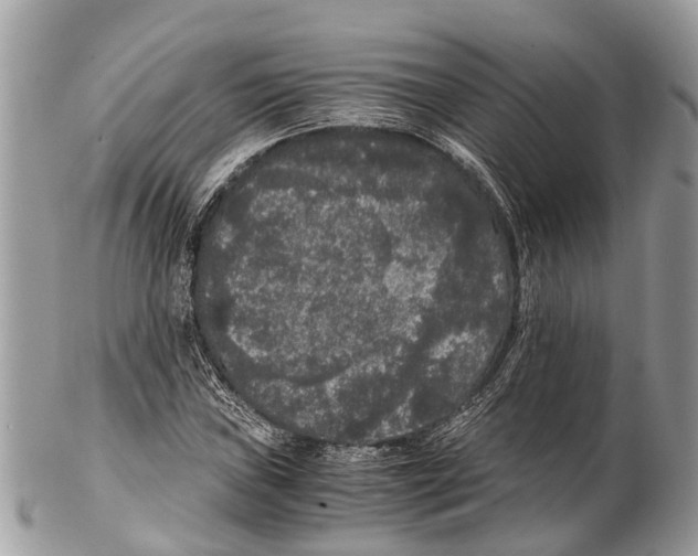 X0000102481019200809051351