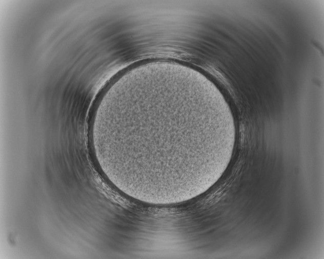 X0000102481020200809051351