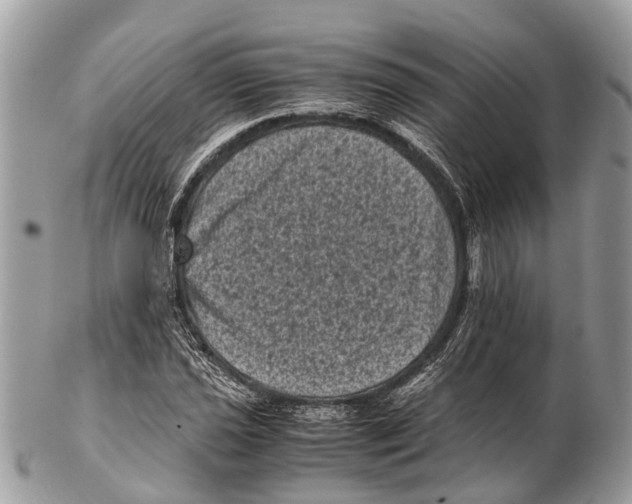 X0000102481021200809051351