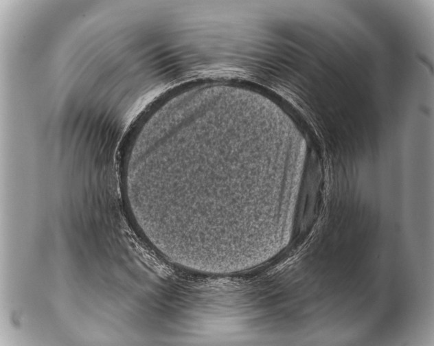 X0000102481022200809051351