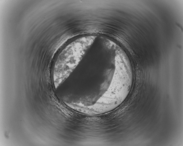 X0000102481023200809051351