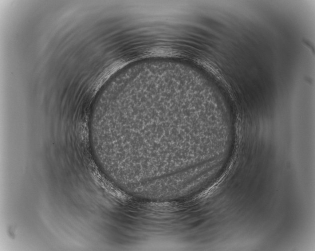 X0000102481025200809051351