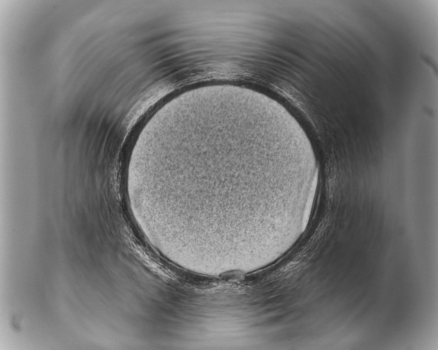 X0000102481026200809051351