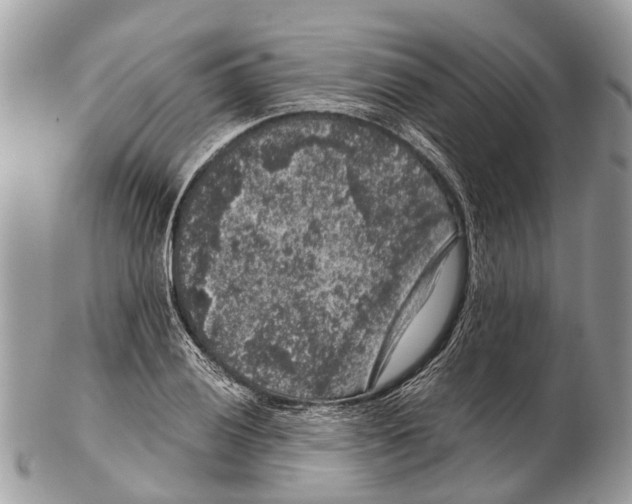 X0000102481028200809051351