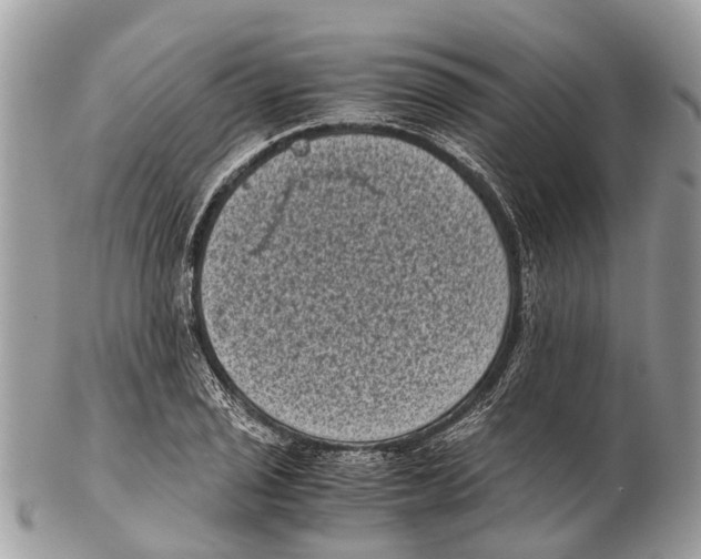 X0000102481029200809051351