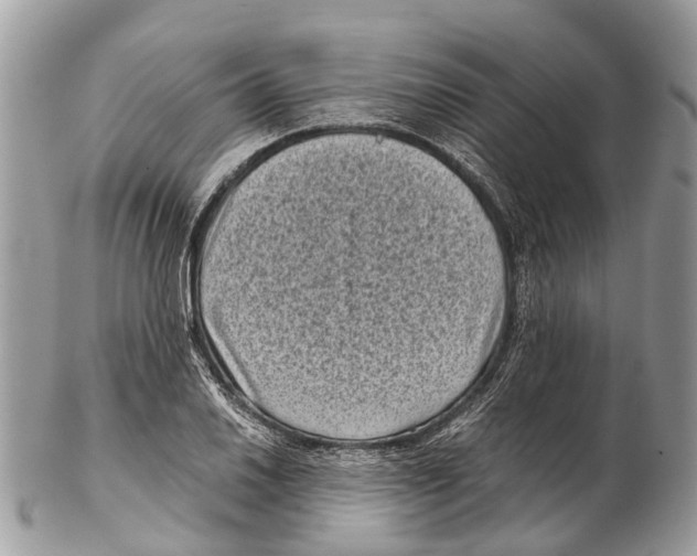 X0000102481030200809051351