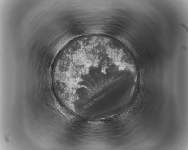 X0000102481031200809051351