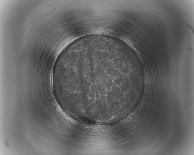 X0000102481032200809051351