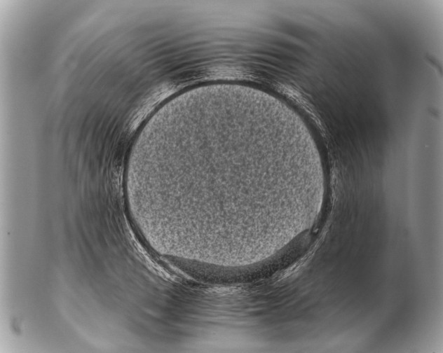 X0000102481033200809051351