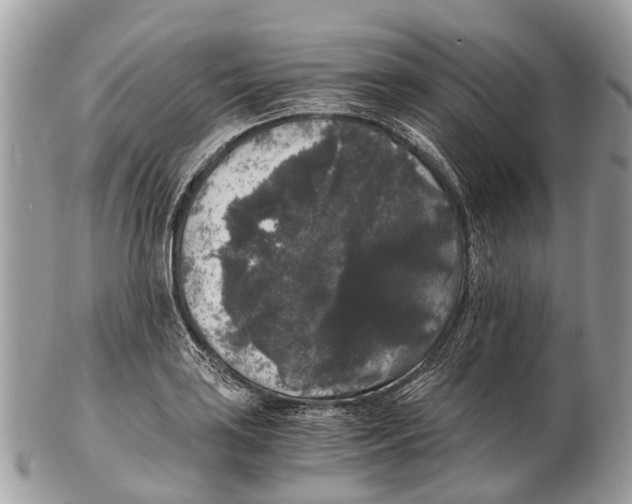 X0000102481035200809051351