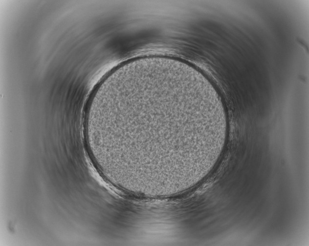 X0000102481038200809051351