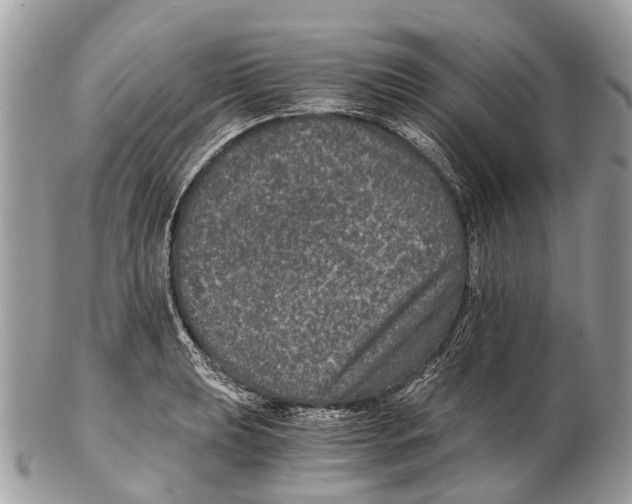 X0000102481039200809051351