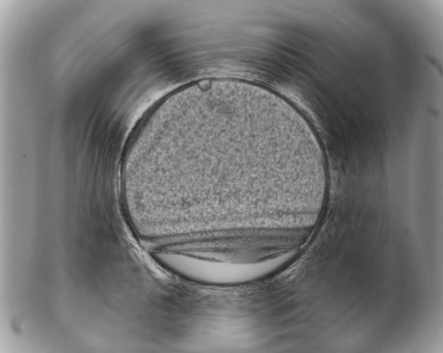 X0000102481040200809051351