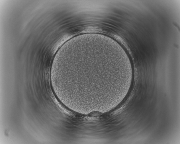 X0000102481041200809051351