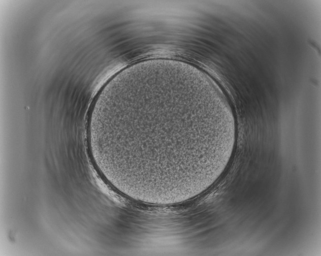 X0000102481042200809051351