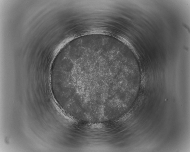 X0000102481043200809051351