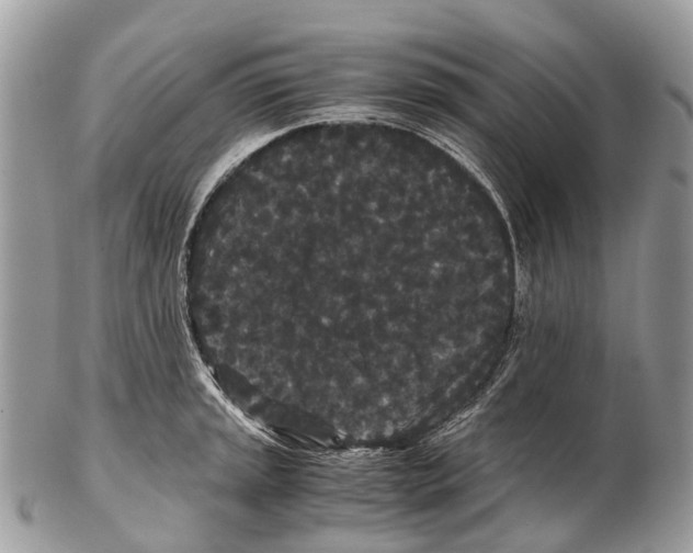 X0000102481045200809051351