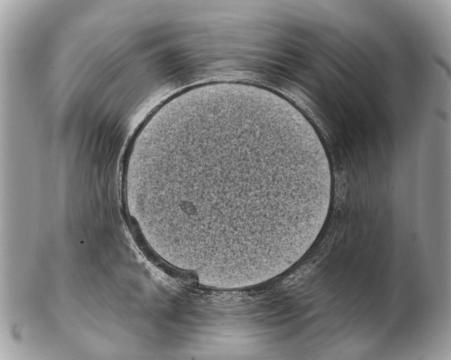 X0000102481046200809051351