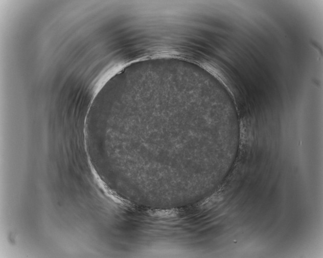 X0000102481047200809051351