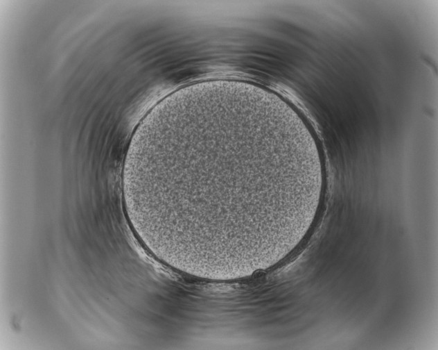 X0000102481049200809051351