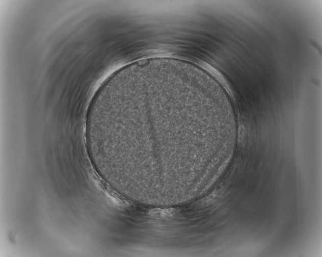 X0000102481051200809051351