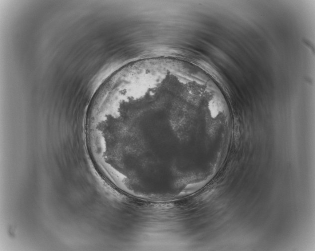 X0000102481055200809051351