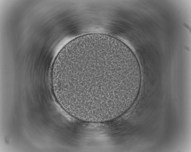 X0000102481056200809051351