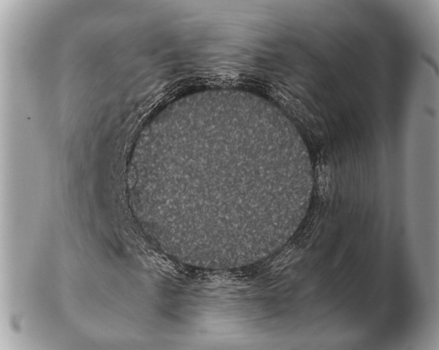 X0000102481057200809051350