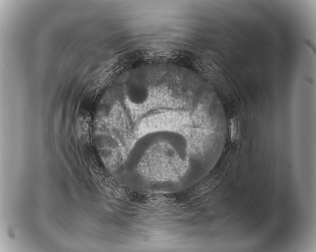 X0000102481059200809051350