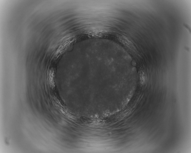 X0000102481060200809051350