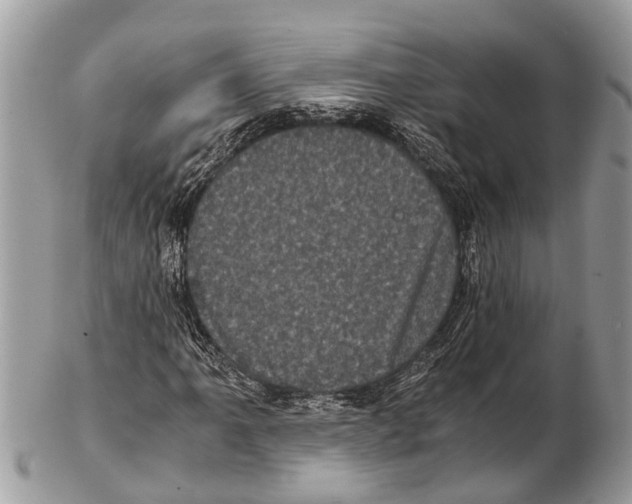 X0000102481061200809051350