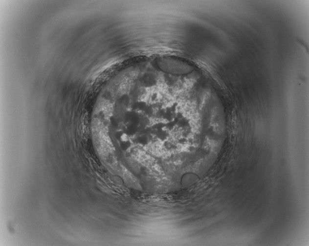 X0000102481063200809051350