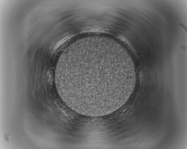 X0000102481064200809051350