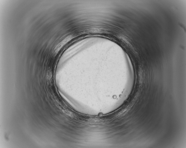 X0000102481065200809051350