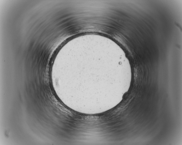 X0000102481068200809051350