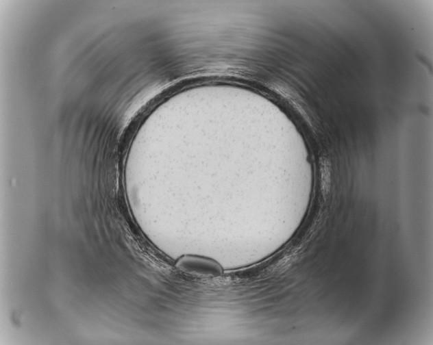 X0000102481069200809051350