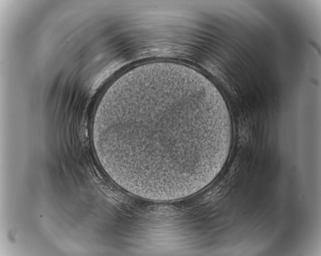 X0000102481070200809051350